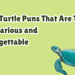 100+ Turtle Puns That Are Totally Shell-arious and Unforgettable
