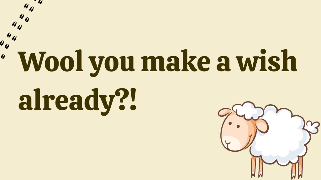 Wool you make a wish already?!