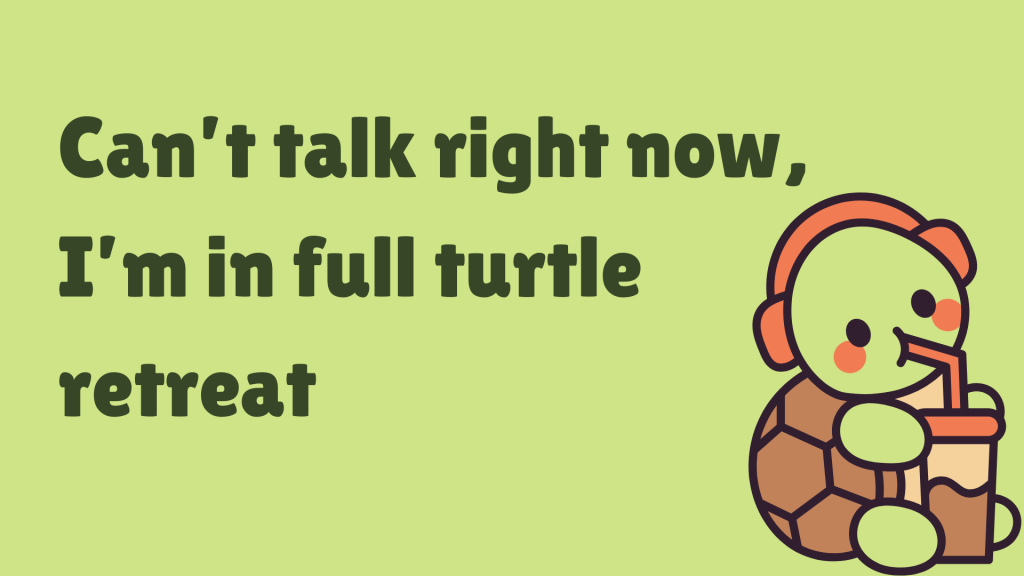 Can’t talk right now, I’m in full turtle retreat