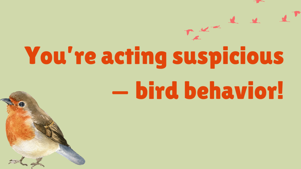 You’re acting suspicious — bird behavior!
