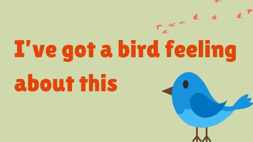 I’ve got a bird feeling about this.