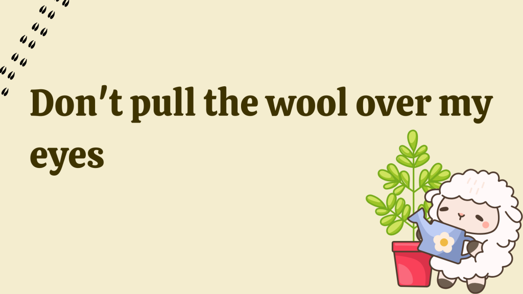 Don't pull the wool over my eyes.