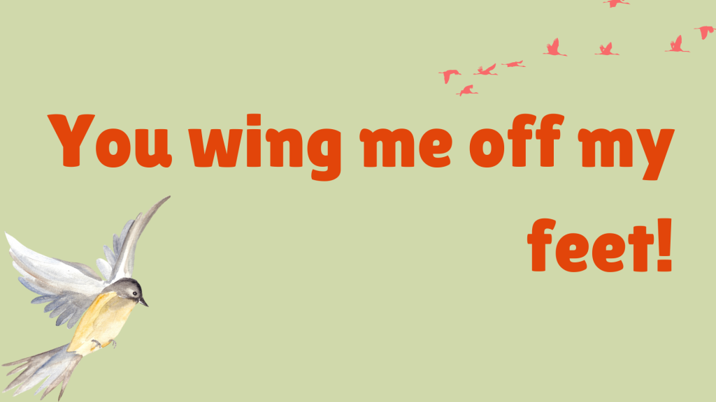 You wing me off my feet!