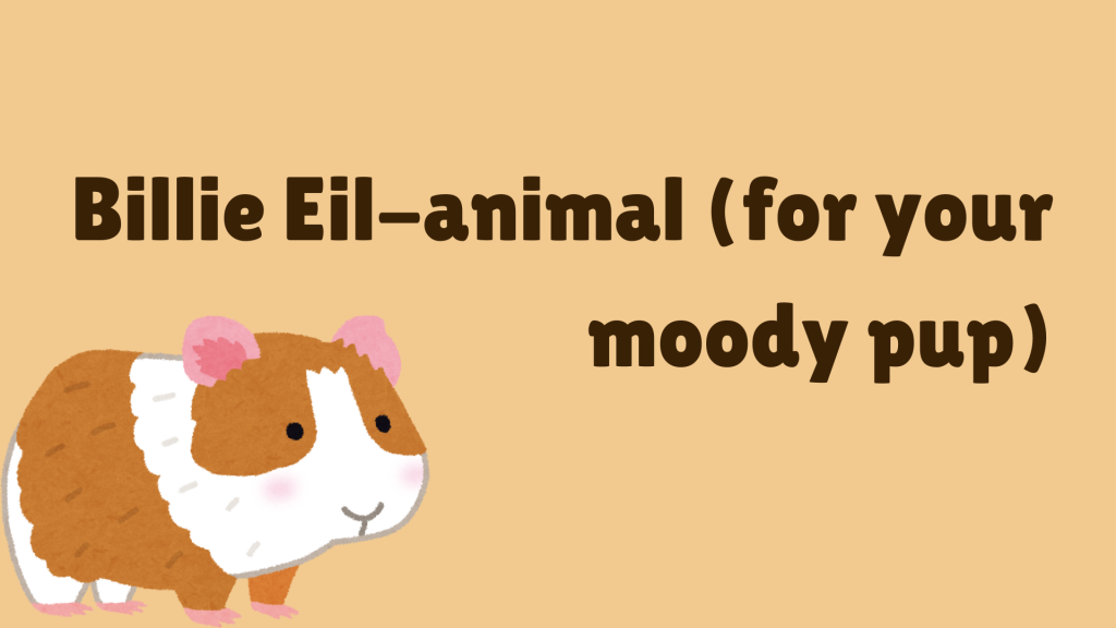 Billie Eil-animal (for your moody pup)
