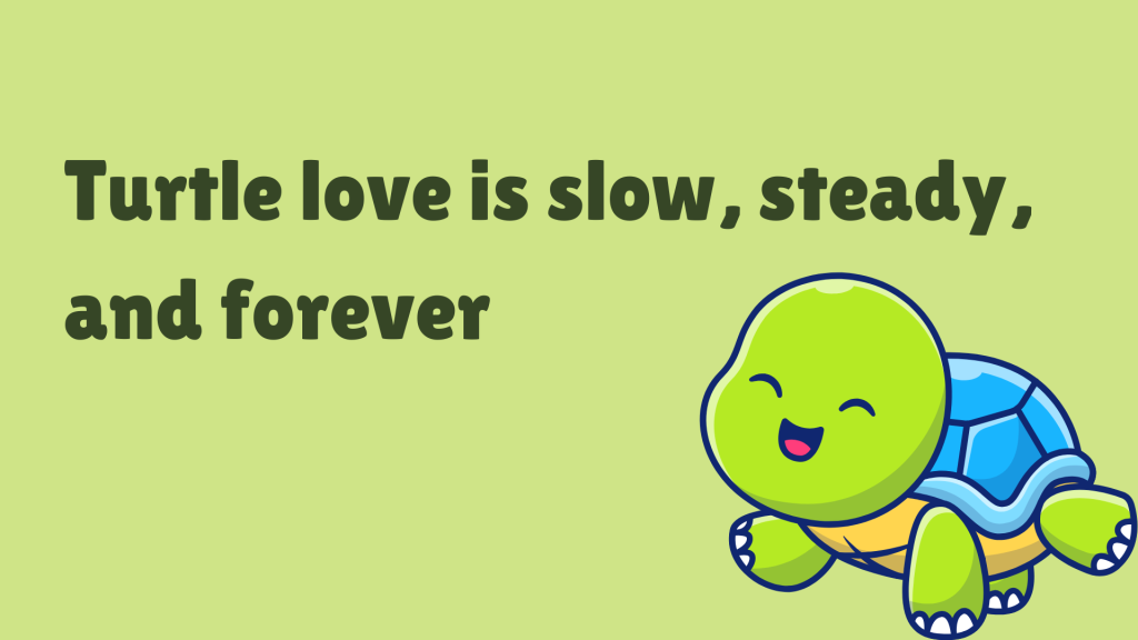 Turtle love is slow, steady, and forever.