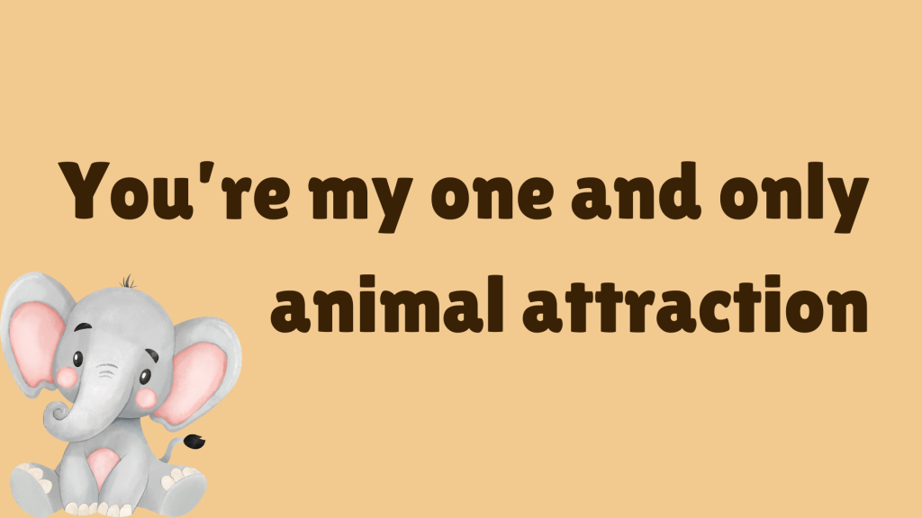 You’re my one and only animal attraction.