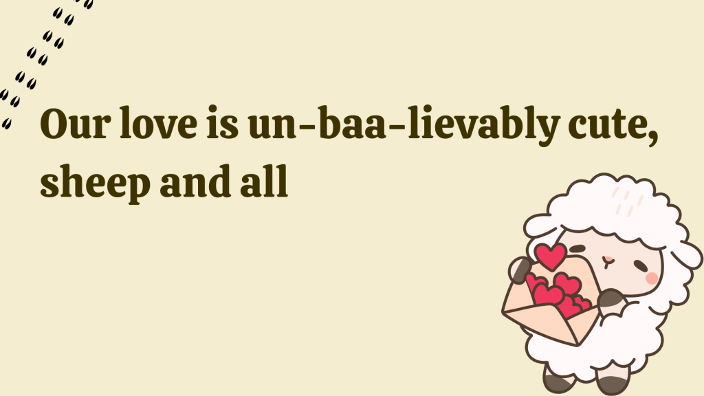 Our love is un-baa-lievably cute, sheep and all.