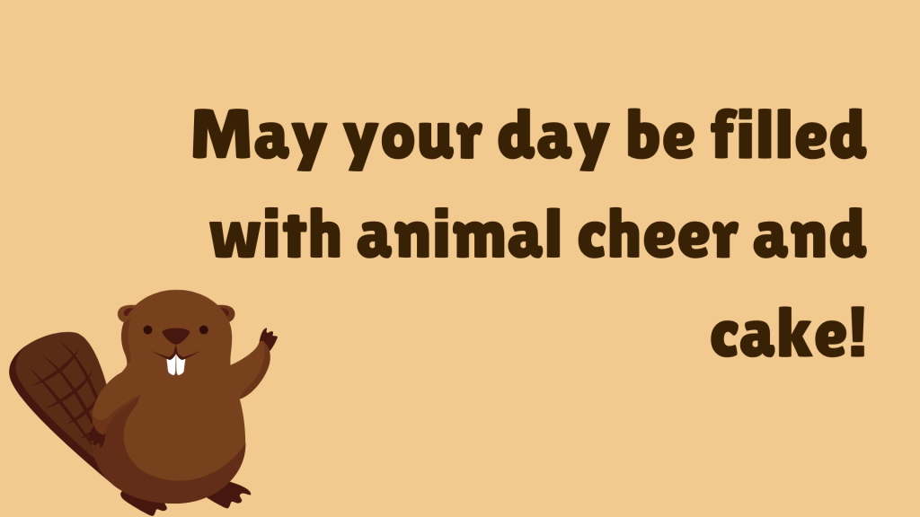 May your day be filled with animal cheer and cake!