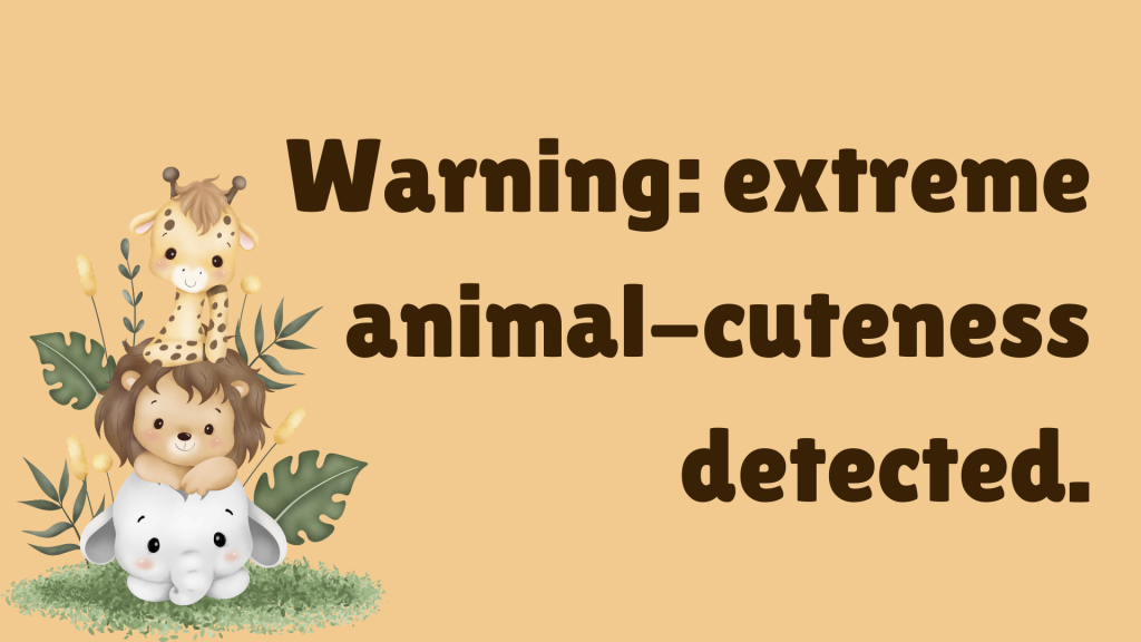 Warning: extreme animal-cuteness detected.