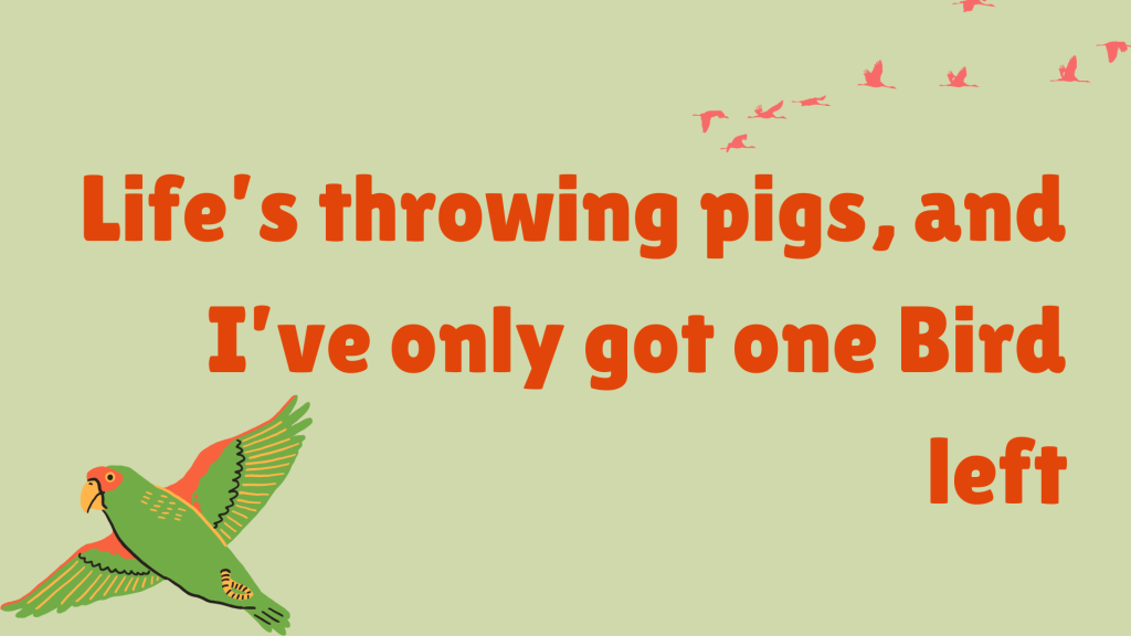 Life’s throwing pigs, and I’ve only got one Bird left.