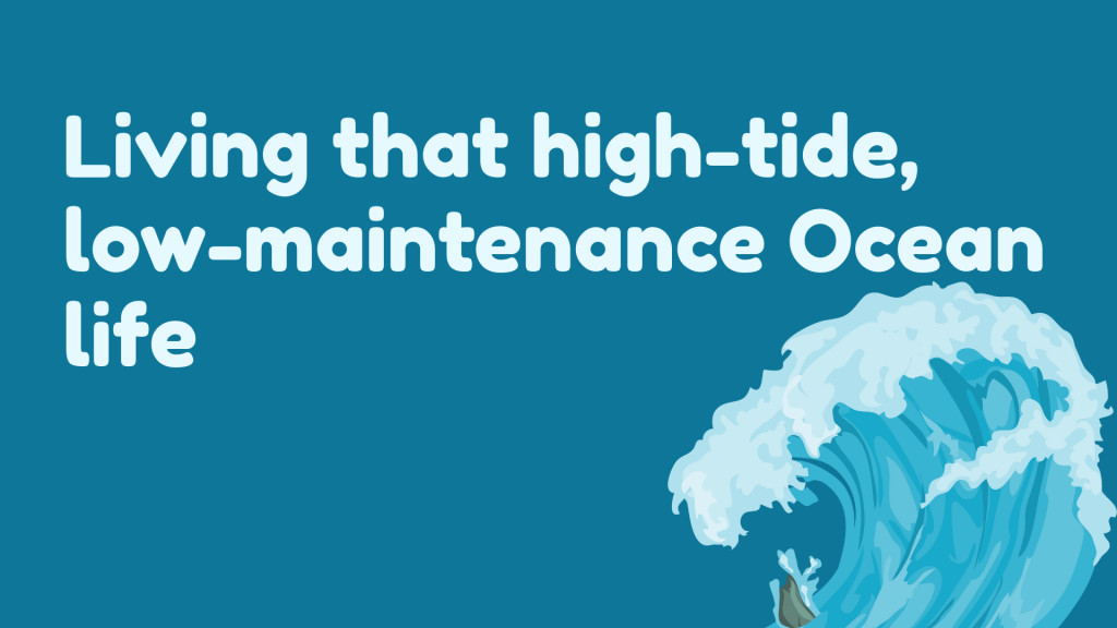 Living that high-tide, low-maintenance Ocean life.
